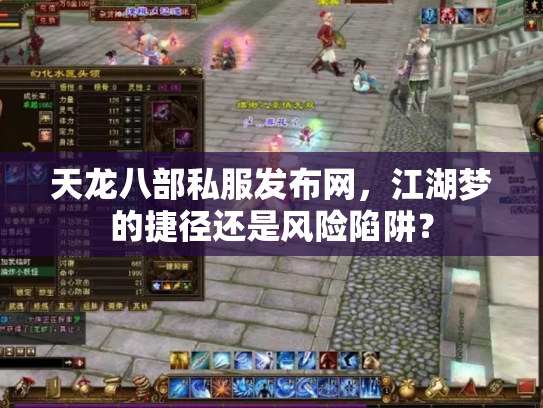 天龙八部私服发布网，江湖梦的捷径还是风险陷阱？