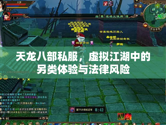 天龙八部私服，虚拟江湖中的另类体验与法律风险