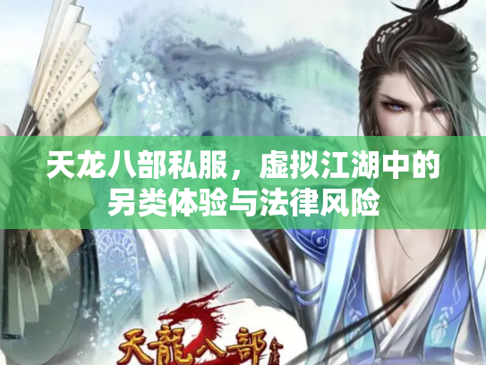 天龙八部私服，虚拟江湖中的另类体验与法律风险