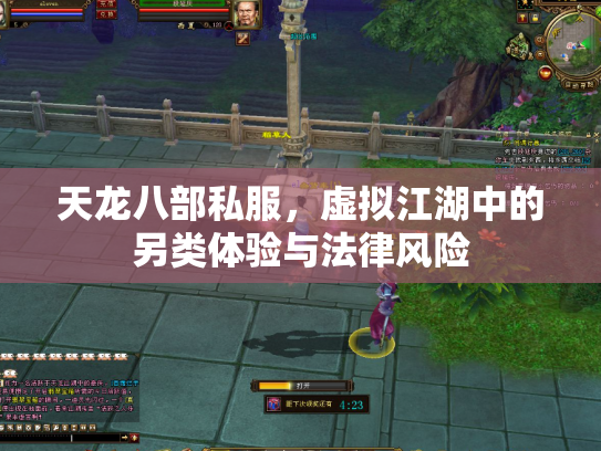 天龙八部私服，虚拟江湖中的另类体验与法律风险