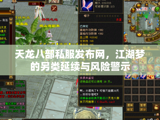 天龙八部私服发布网，江湖梦的另类延续与风险警示