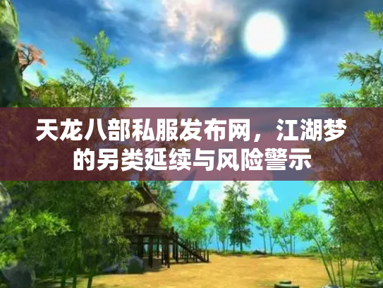 天龙八部私服发布网，江湖梦的另类延续与风险警示