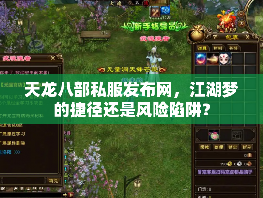 天龙八部私服发布网，江湖梦的捷径还是风险陷阱？