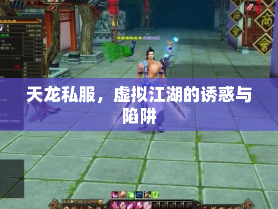 天龙私服，虚拟江湖的诱惑与陷阱