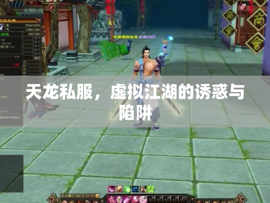 天龙私服，虚拟江湖的诱惑与陷阱