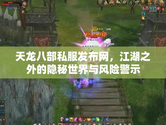 天龙八部私服发布网，江湖之外的隐秘世界与风险警示