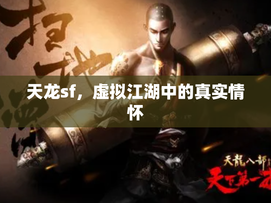 天龙sf，虚拟江湖中的真实情怀