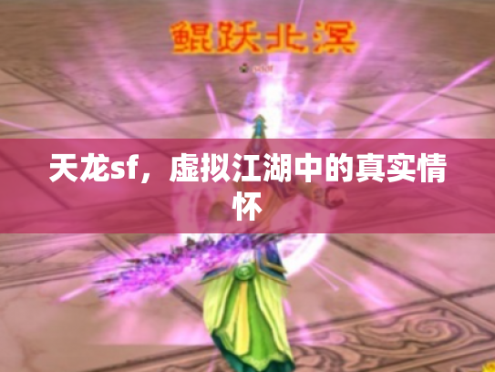 天龙sf，虚拟江湖中的真实情怀