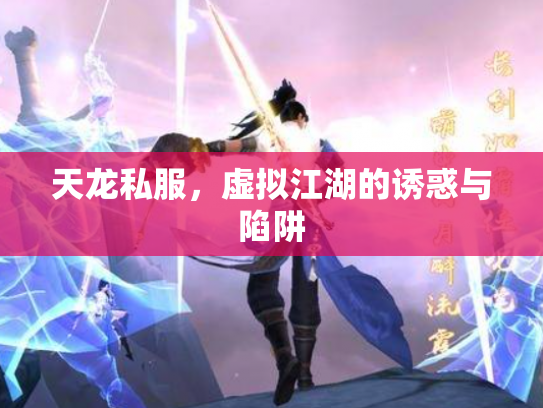 天龙私服，虚拟江湖的诱惑与陷阱