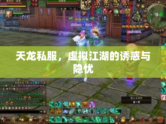 天龙私服，虚拟江湖的诱惑与隐忧