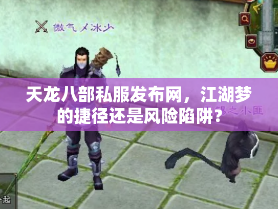 天龙八部私服发布网，江湖梦的捷径还是风险陷阱？