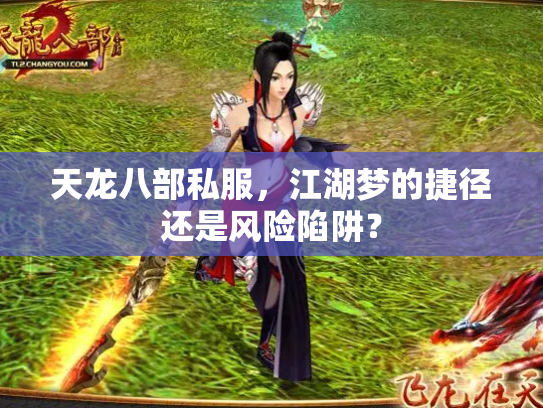 天龙八部私服，江湖梦的捷径还是风险陷阱？