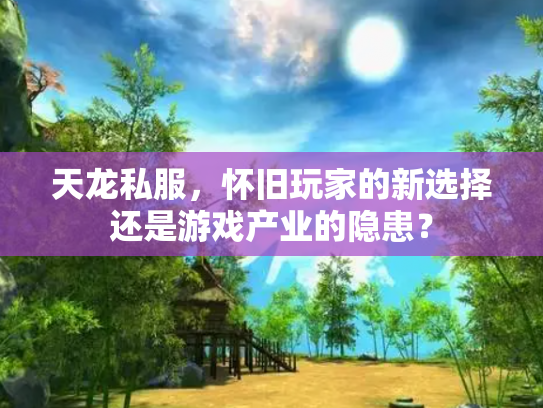 天龙私服，怀旧玩家的新选择还是游戏产业的隐患？
