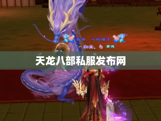 天龙八部私服发布网