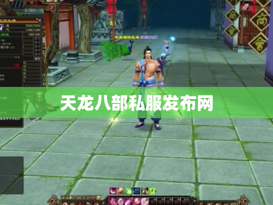 天龙八部私服发布网