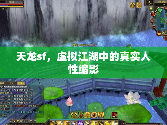 天龙sf，虚拟江湖中的真实人性缩影