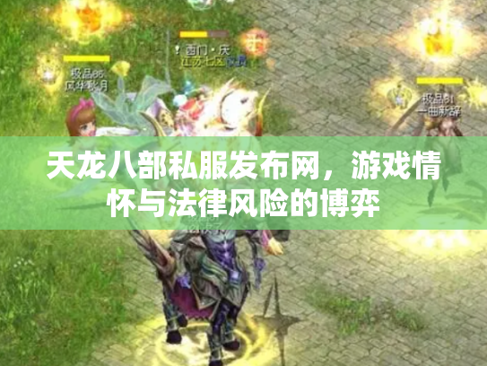 天龙八部私服发布网，游戏情怀与法律风险的博弈