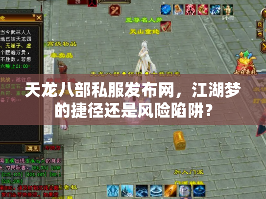 天龙八部私服发布网，江湖梦的捷径还是风险陷阱？