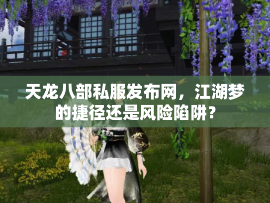 天龙八部私服发布网，江湖梦的捷径还是风险陷阱？