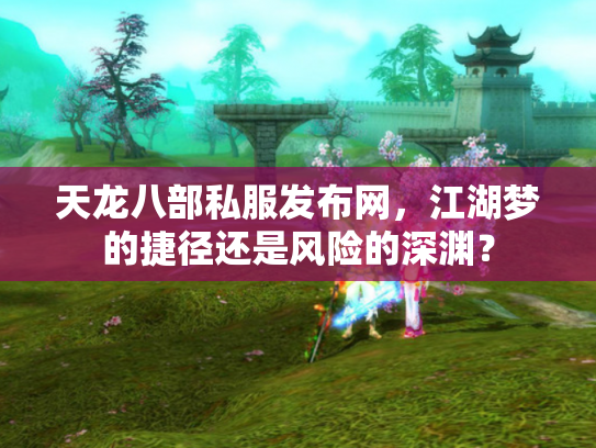 天龙八部私服发布网，江湖梦的捷径还是风险的深渊？