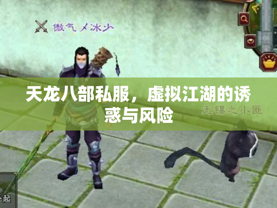 天龙八部私服，虚拟江湖的诱惑与风险