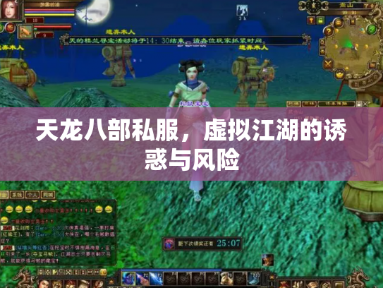 天龙八部私服，虚拟江湖的诱惑与风险