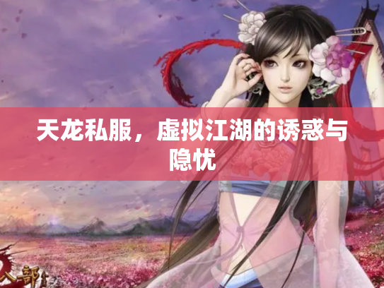 天龙私服，虚拟江湖的诱惑与隐忧