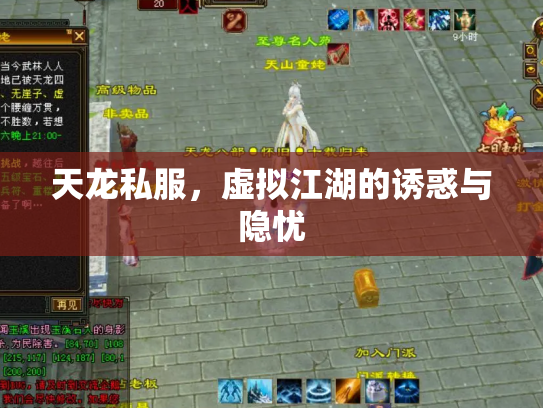 天龙私服，虚拟江湖的诱惑与隐忧