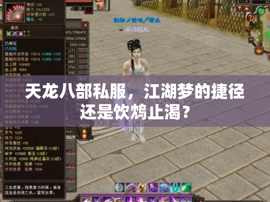 天龙八部私服，江湖梦的捷径还是饮鸩止渴？