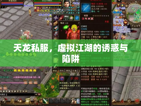 天龙私服，虚拟江湖的诱惑与陷阱