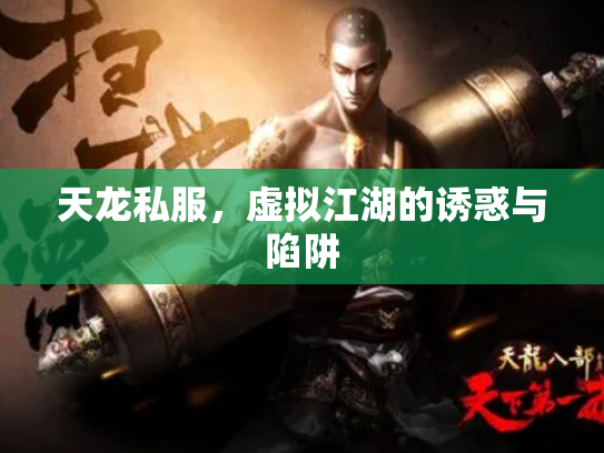 天龙私服，虚拟江湖的诱惑与陷阱