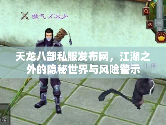 天龙八部私服发布网，江湖之外的隐秘世界与风险警示