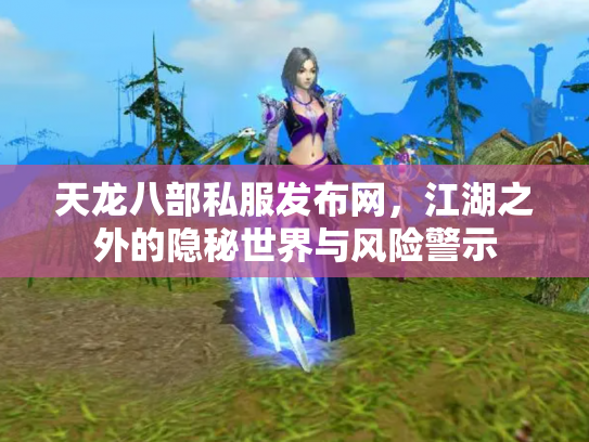 天龙八部私服发布网，江湖之外的隐秘世界与风险警示