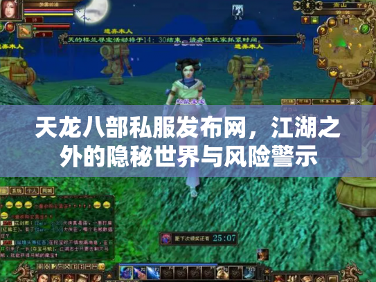 天龙八部私服发布网，江湖之外的隐秘世界与风险警示