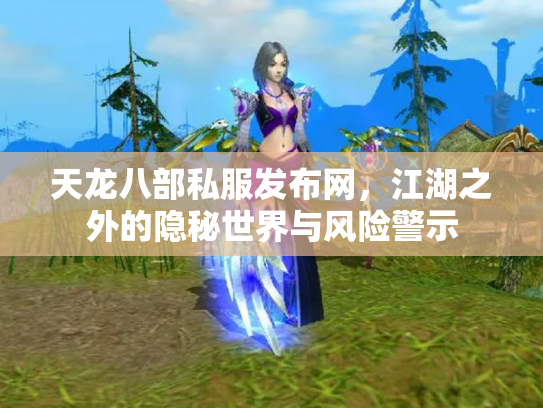 天龙八部私服发布网，江湖之外的隐秘世界与风险警示