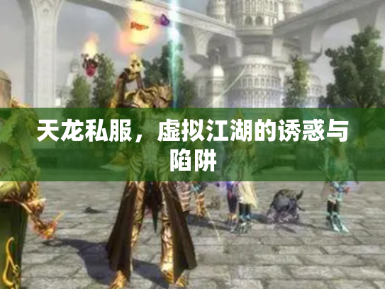 天龙私服，虚拟江湖的诱惑与陷阱