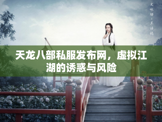 天龙八部私服发布网，虚拟江湖的诱惑与风险