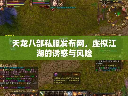天龙八部私服发布网，虚拟江湖的诱惑与风险