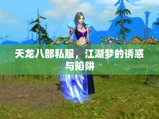 天龙八部私服，江湖梦的诱惑与陷阱