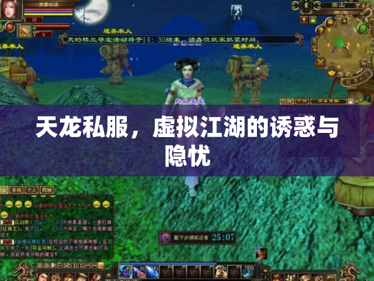 天龙私服，虚拟江湖的诱惑与隐忧