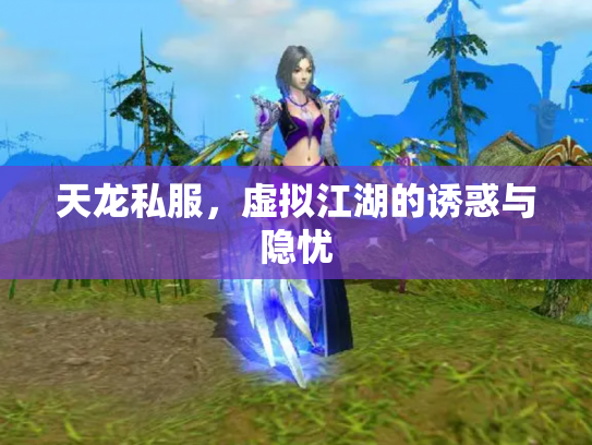 天龙私服，虚拟江湖的诱惑与隐忧