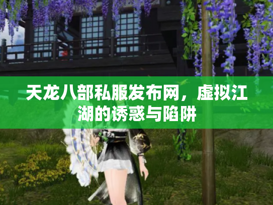 天龙八部私服发布网，虚拟江湖的诱惑与陷阱
