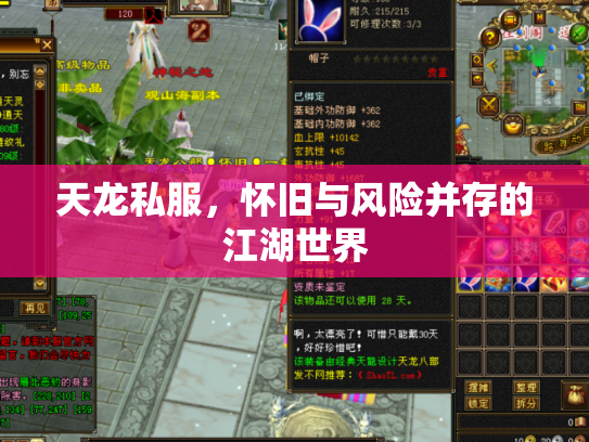 天龙私服，怀旧与风险并存的江湖世界