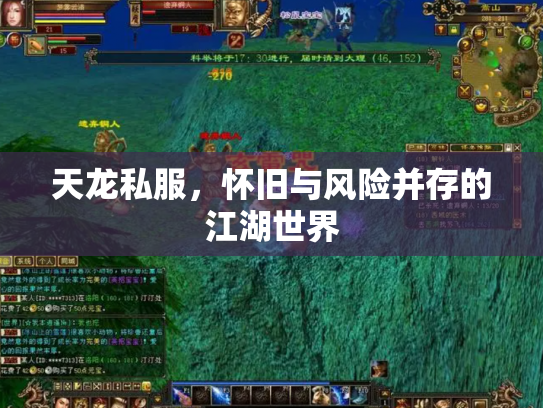天龙私服，怀旧与风险并存的江湖世界