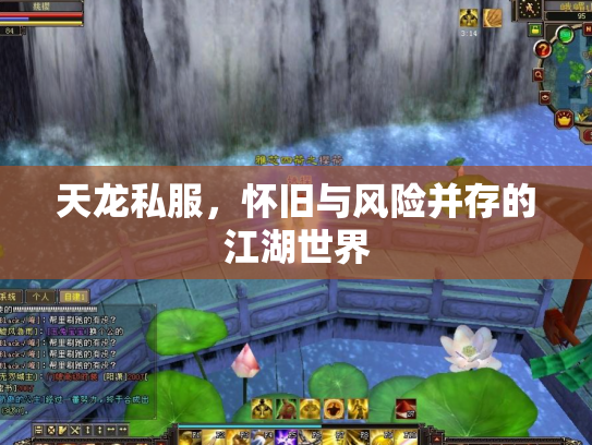 天龙私服，怀旧与风险并存的江湖世界