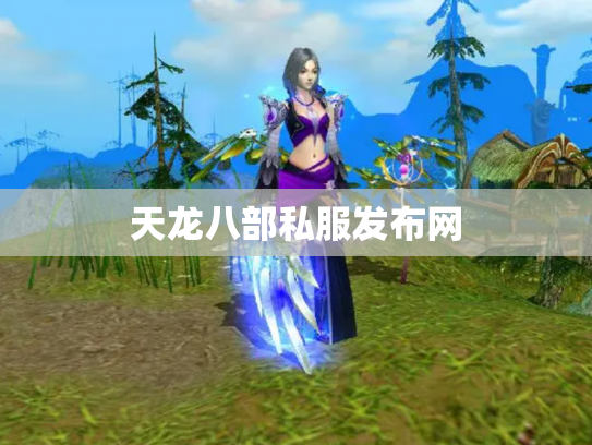 天龙八部私服发布网