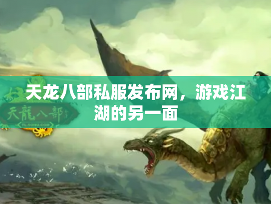 天龙八部私服发布网，游戏江湖的另一面
