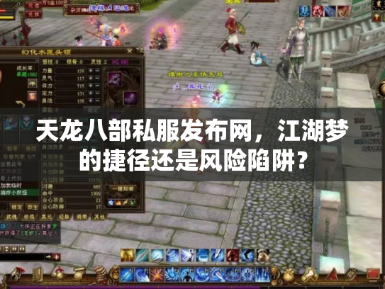 天龙八部私服发布网，江湖梦的捷径还是风险陷阱？