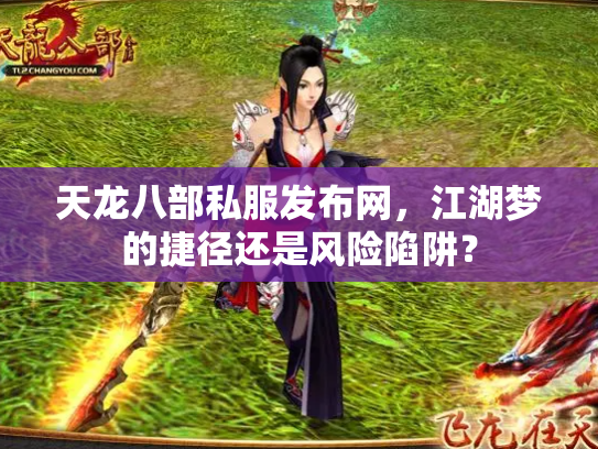 天龙八部私服发布网，江湖梦的捷径还是风险陷阱？