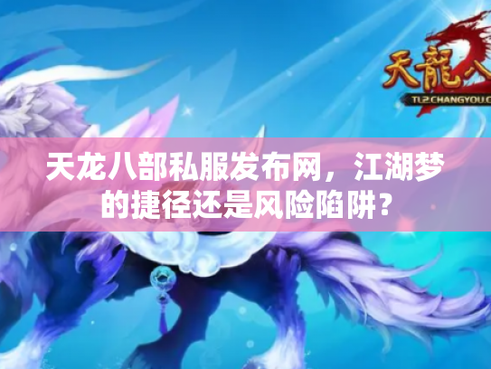 天龙八部私服发布网，江湖梦的捷径还是风险陷阱？